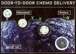 Nanoshells